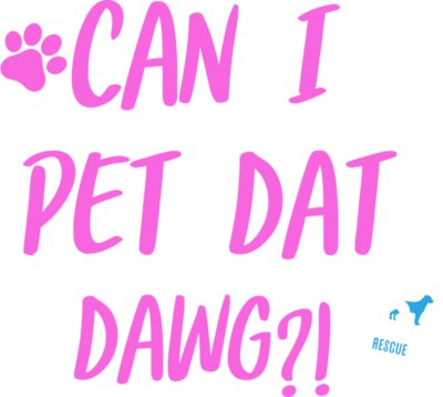 Pet dat dawg